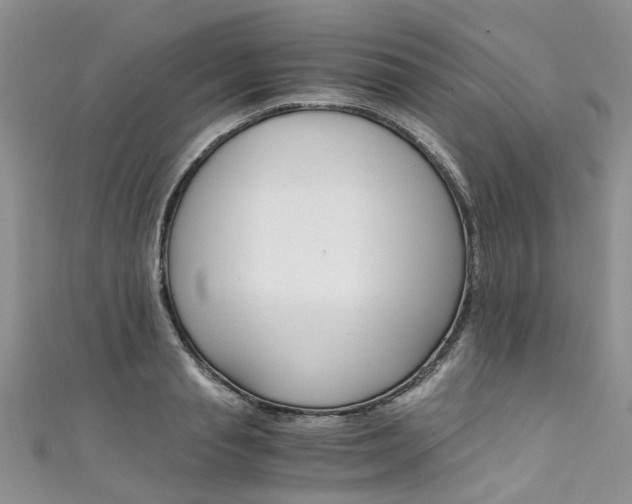 X0000111430845200907131039