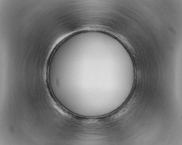 X0000111430846200907131039