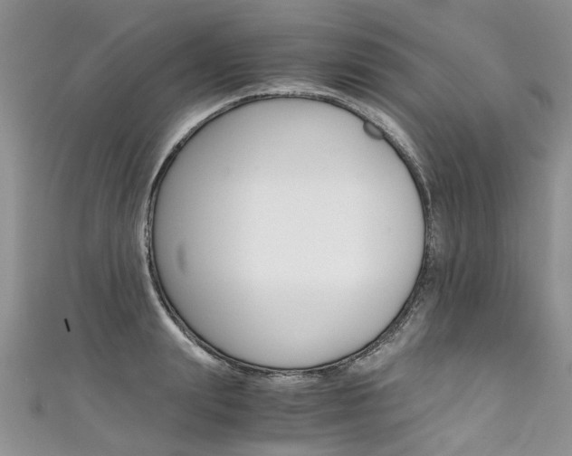 X0000111430847200907131039
