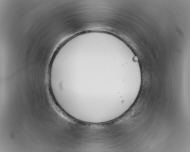 X0000111430848200907131039