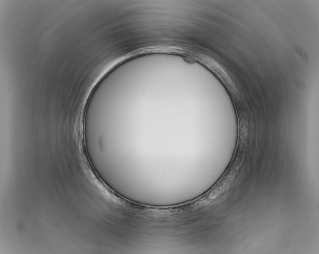X0000111430852200907131039
