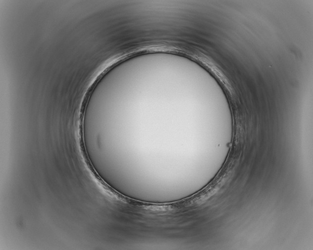 X0000111430853200907131039