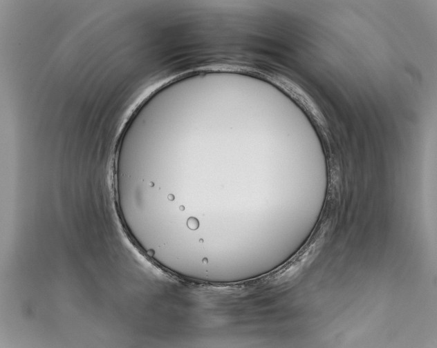X0000111430855200907131039