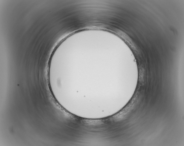 X0000111430856200907131039