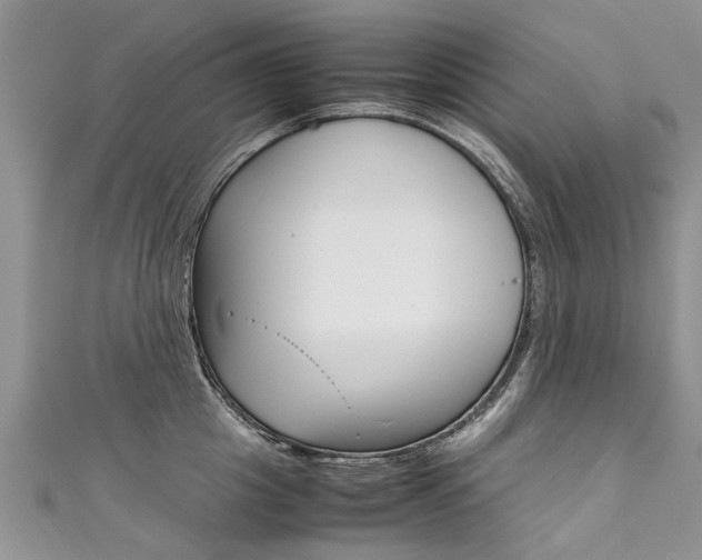 X0000111430857200907131039