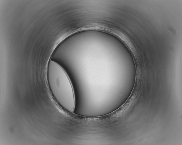 X0000111430858200907131039