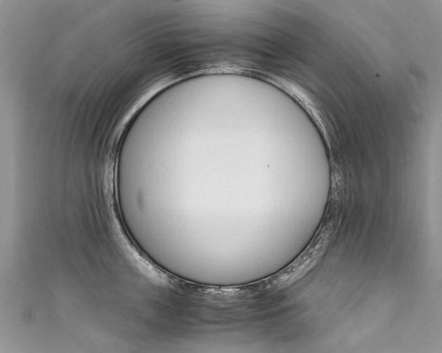 X0000111430859200907131039