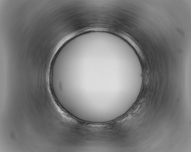 X0000111430861200907131039