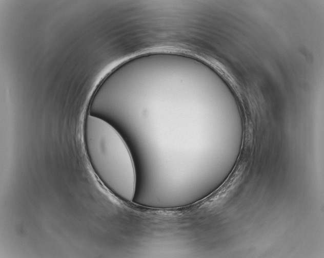 X0000111430862200907131039