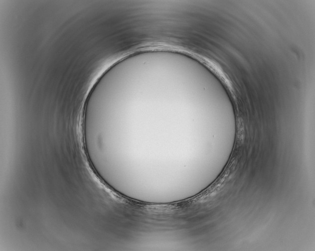 X0000111430863200907131039