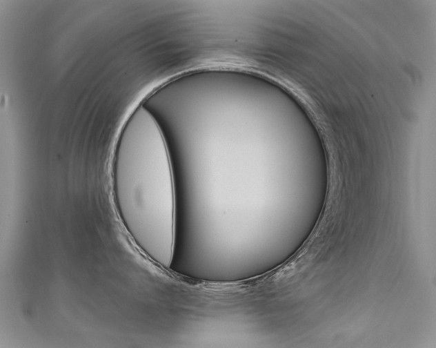 X0000111430864200907131039