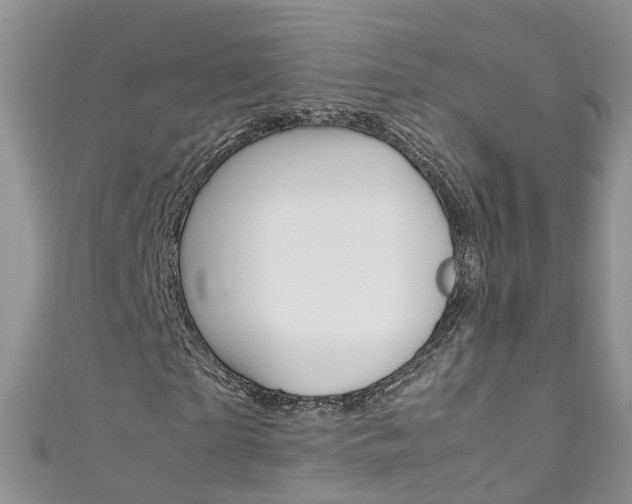 X0000111430865200907131038