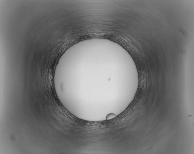 X0000111430866200907131038