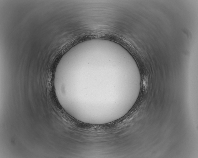 X0000111430867200907131038