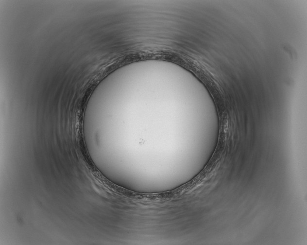 X0000111430868200907131038