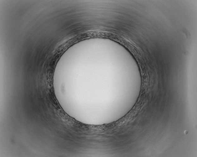 X0000111430870200907131038