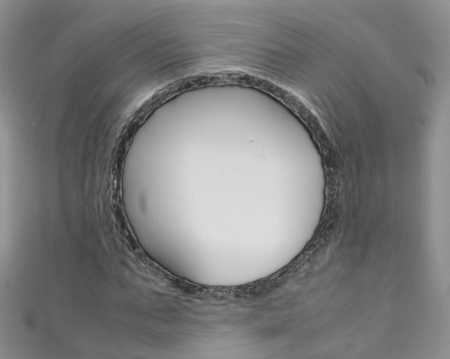 X0000111430871200907131038
