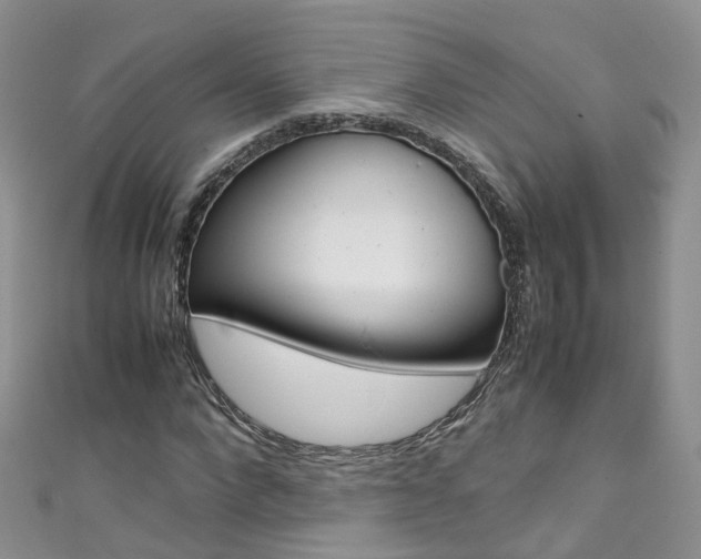 X0000111430872200907131038