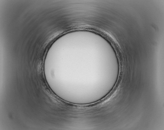 X0000111430873200907131038