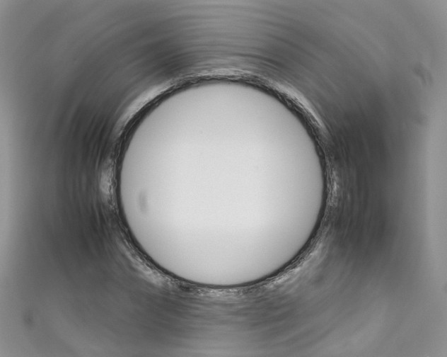 X0000111430874200907131038