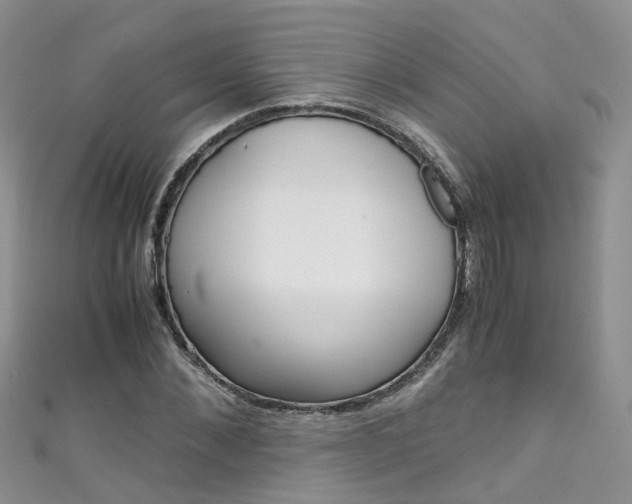 X0000111430876200907131038