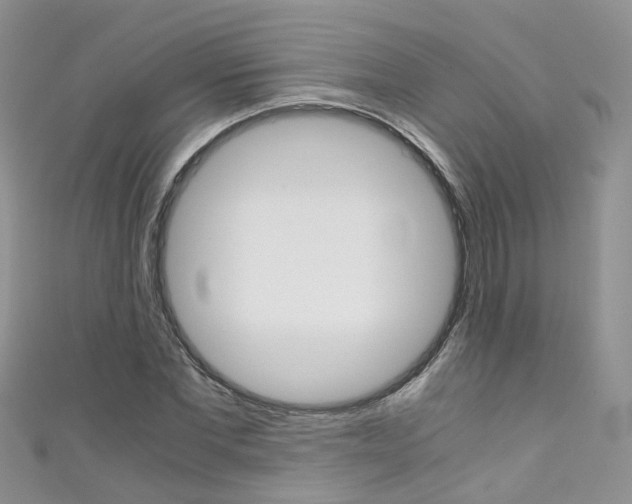 X0000111430877200907131038