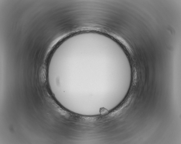 X0000111430878200907131038