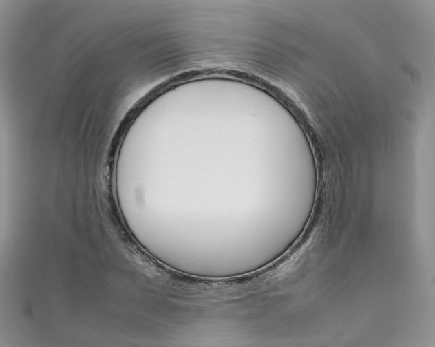 X0000111430879200907131038