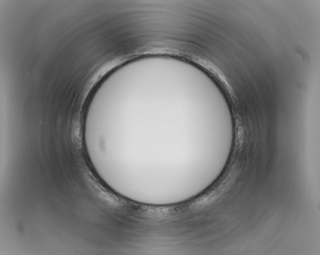 X0000111430882200907131038
