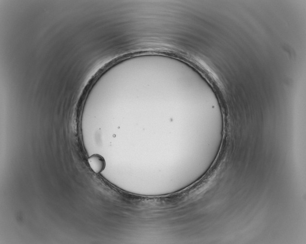 X0000111430883200907131038