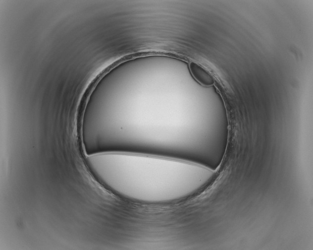 X0000111430884200907131038