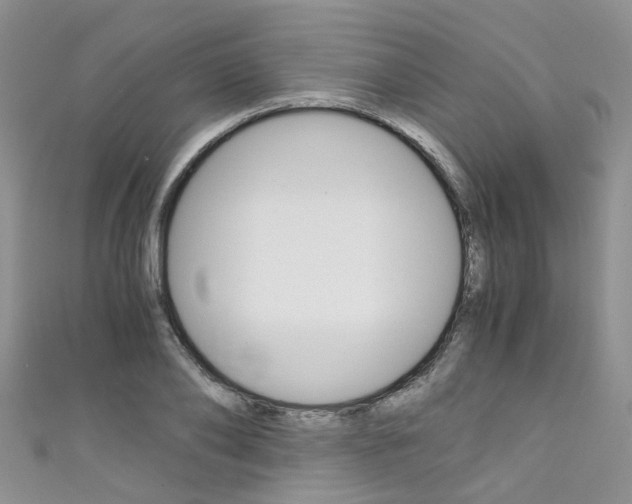X0000111430886200907131038