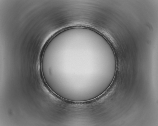 X0000111430888200907131038