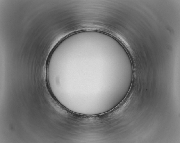 X0000111430891200907131038