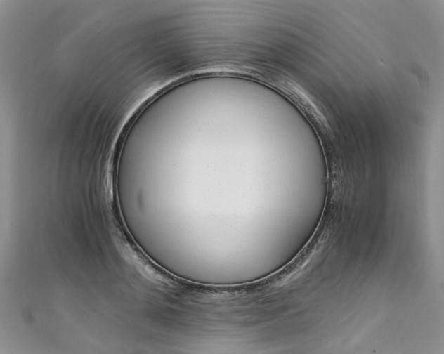 X0000111430892200907131038