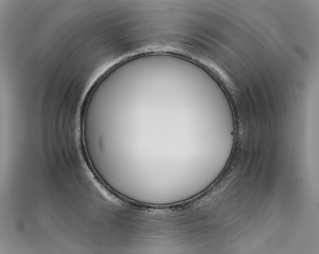 X0000111430894200907131038