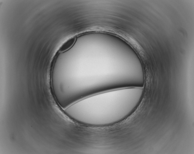 X0000111430896200907131038