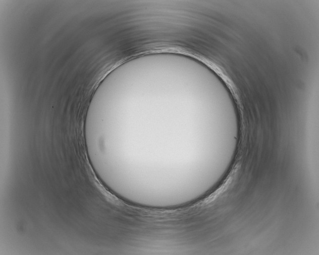 X0000111430897200907131038