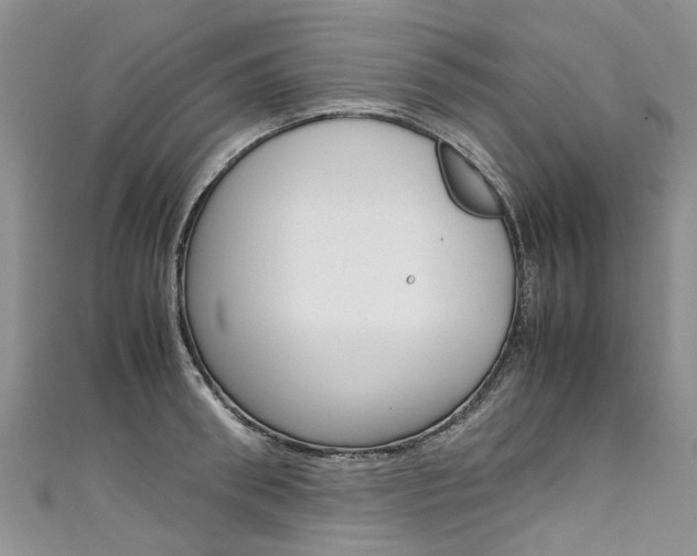 X0000111430898200907131038