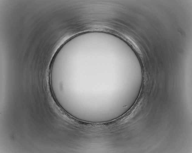 X0000111430899200907131038