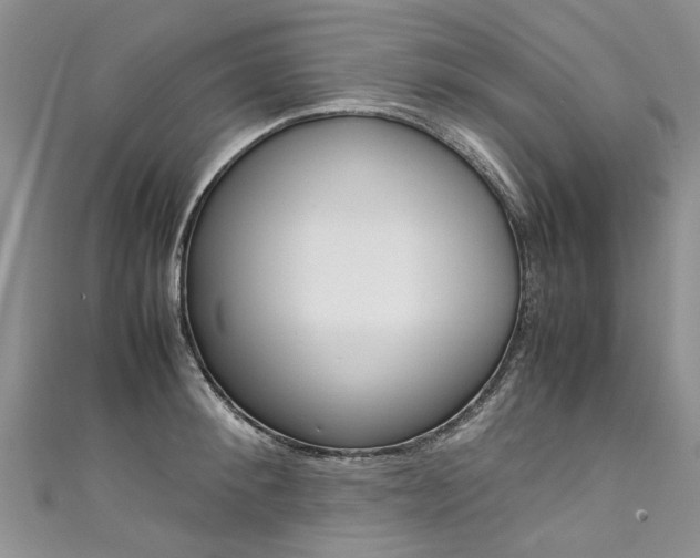 X0000111430900200907131038