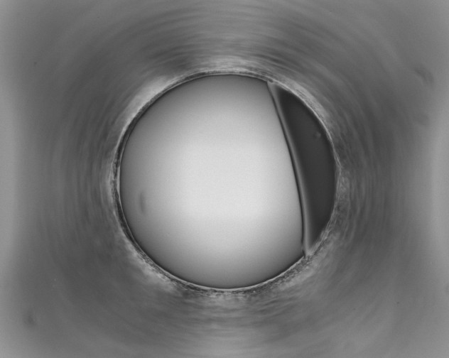 X0000111430901200907131038