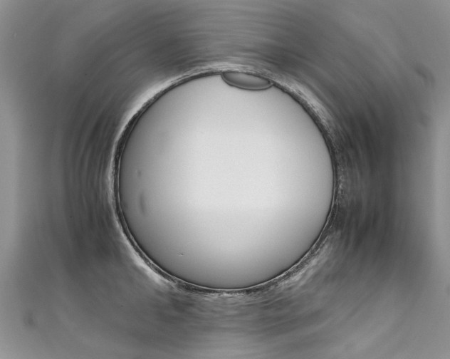 X0000111430902200907131038