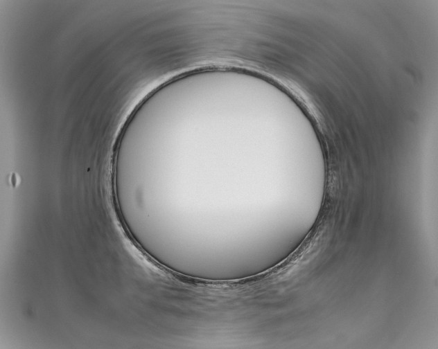 X0000111430903200907131038