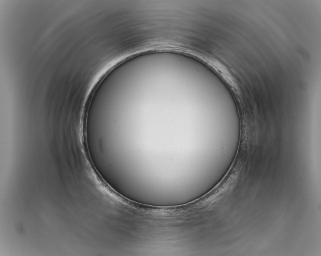 X0000111430904200907131038