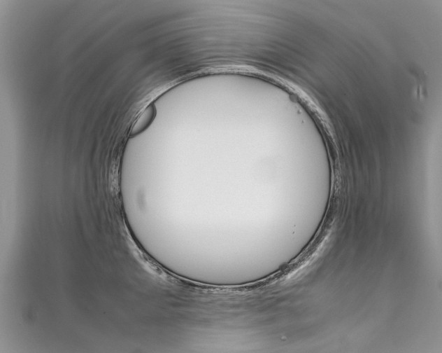 X0000111430905200907131038