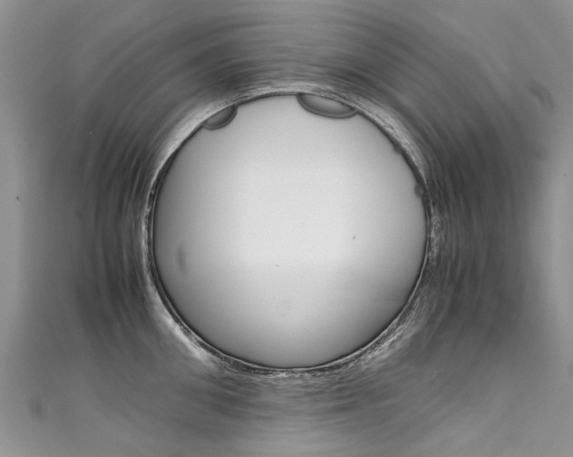 X0000111430906200907131038