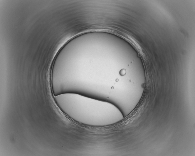 X0000111430907200907131038