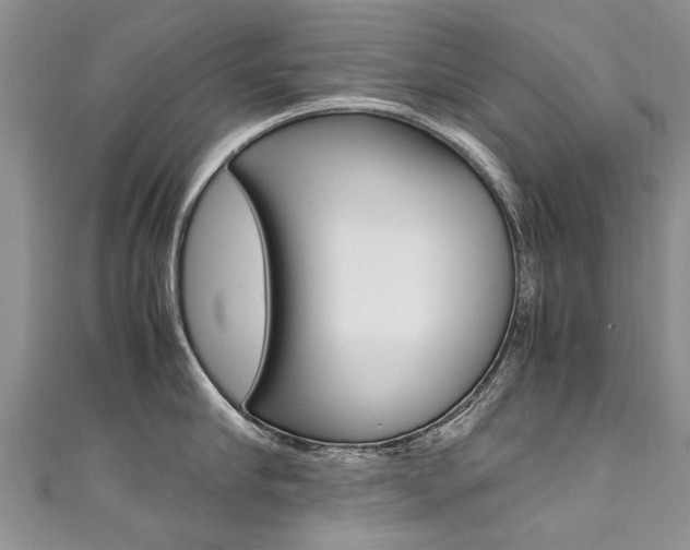 X0000111430910200907131038