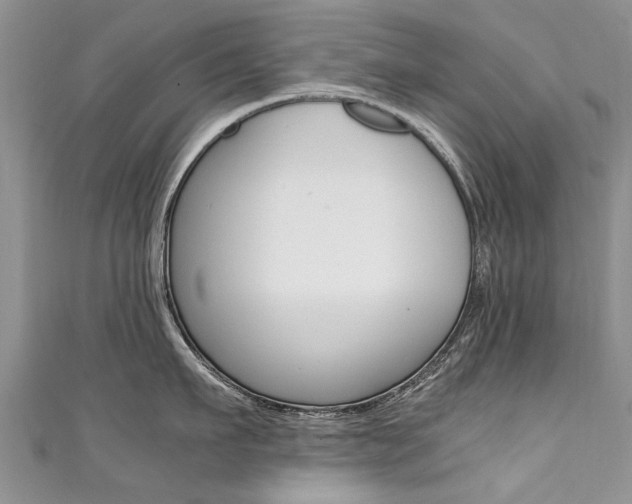 X0000111430911200907131038